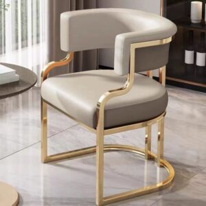 Modern luxury conference & guest chair for salons, dining rooms, and hotel lobbies