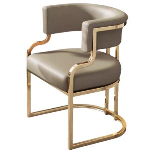Modern luxury conference & guest chair for salons, dining rooms, and hotel lobbies