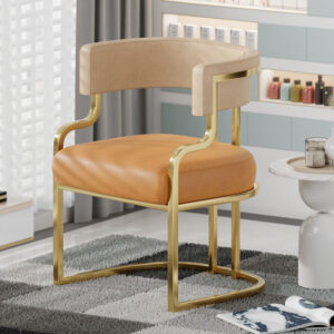 Modern luxury conference & guest chair for salons, dining rooms, and hotel lobbies