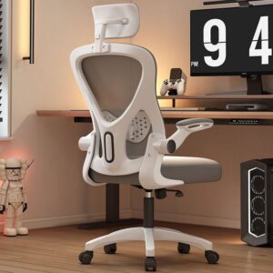Ergonomic study and gaming chair for home, student dorm, and office use