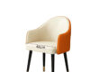 Modern multipurpose leisure chair for indoor and outdoor use