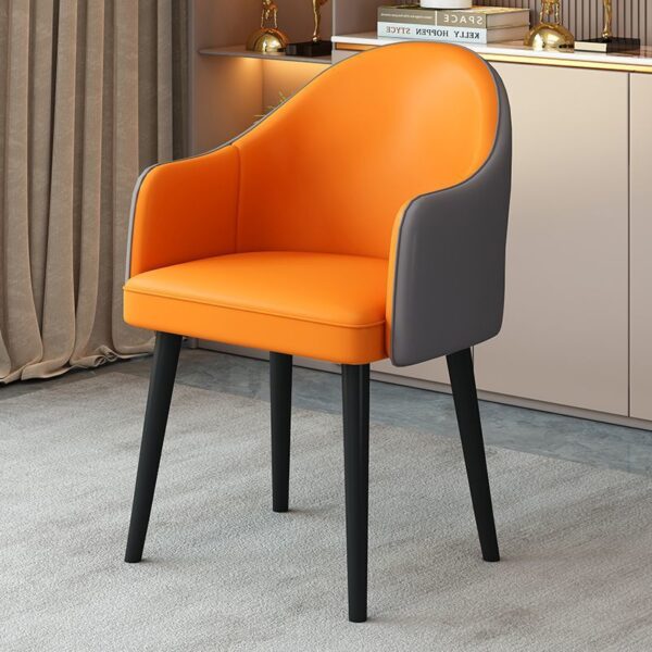 Modern multipurpose leisure chair for indoor and outdoor use